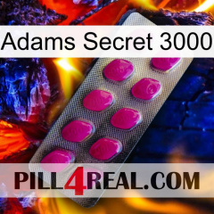 Adams Secret 3000 09